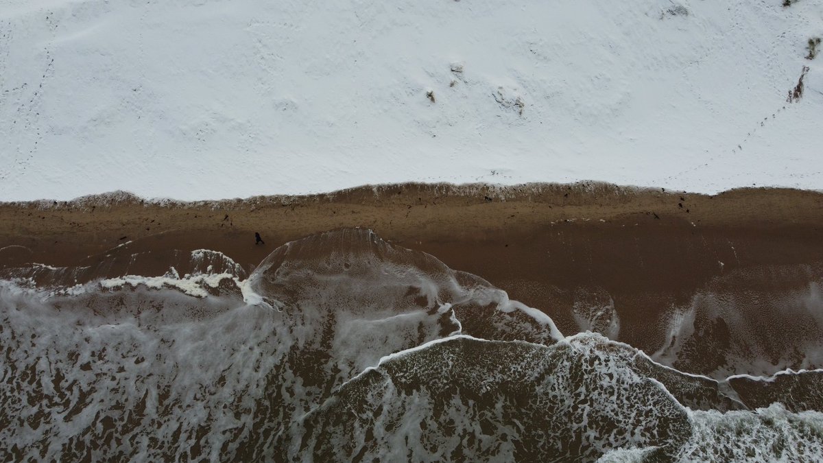 Andrew McKibbin tweet media