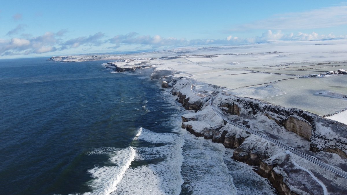 Andrew McKibbin tweet media