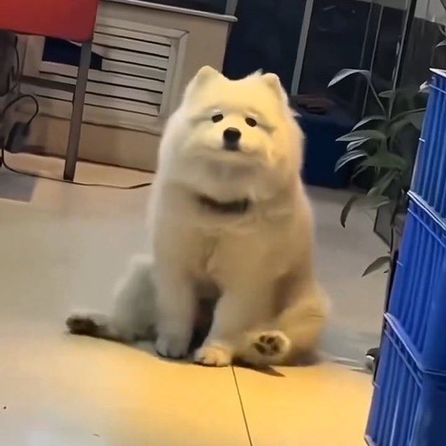 คนขี้งอนสองคนอยู่ด้วยกันแล้วใครจะเปนคนง้อวะ