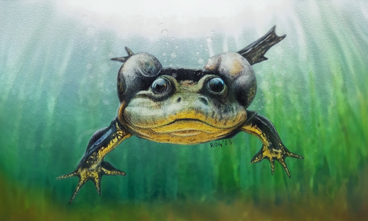 The PalAss tweet media