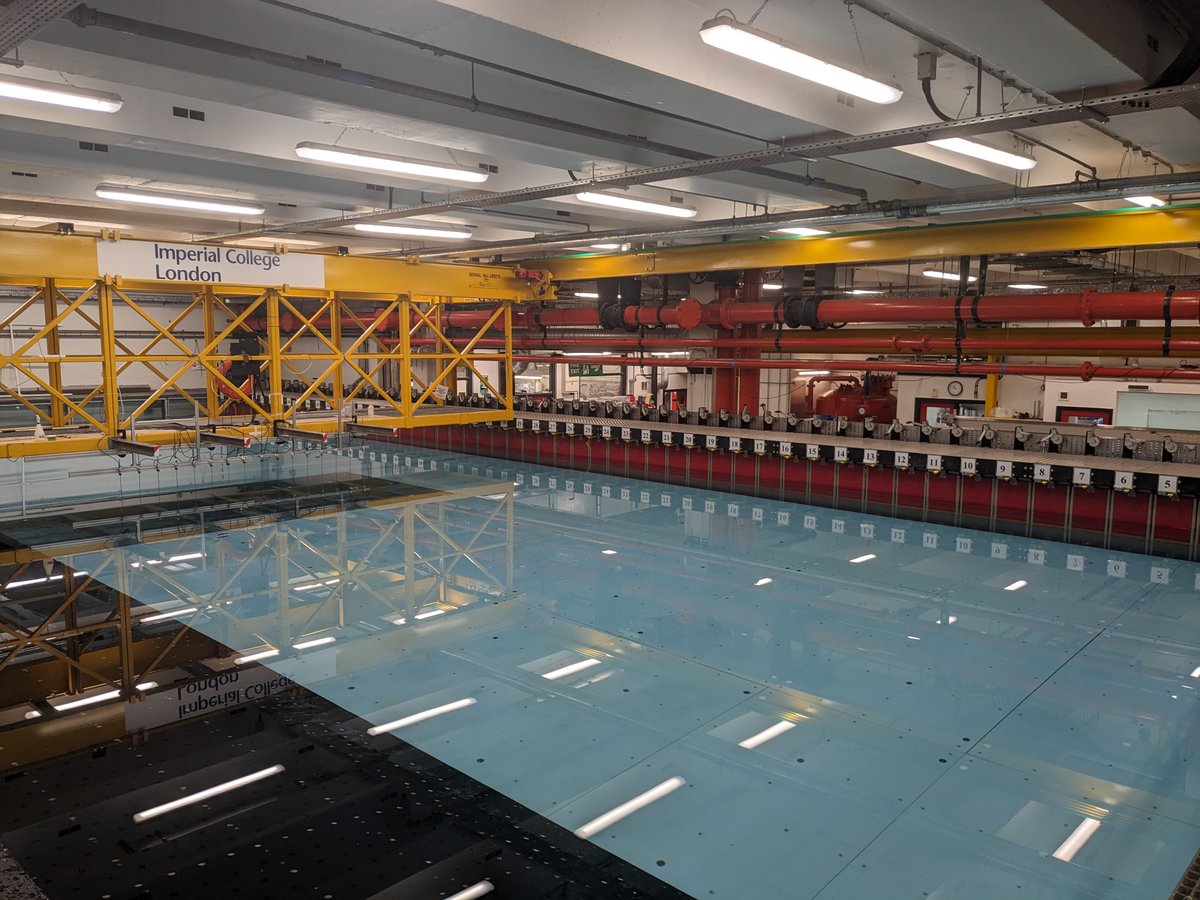 Daniel Valero tweet media