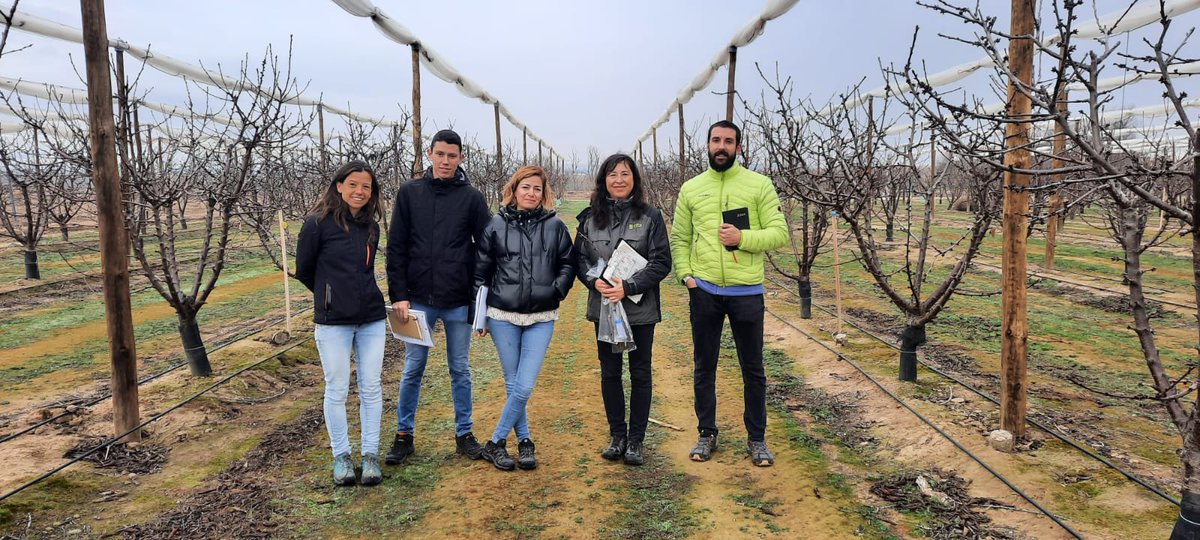 CITAAragon's tweet photo. Visita del personal del #IRFAP de Mallorca para una reunión del proyecto CHERRY_BREED (PID2022)🍒 dirigido por A. Wünsch
@agriculturagoib https://t.co/0elxMV1RkO