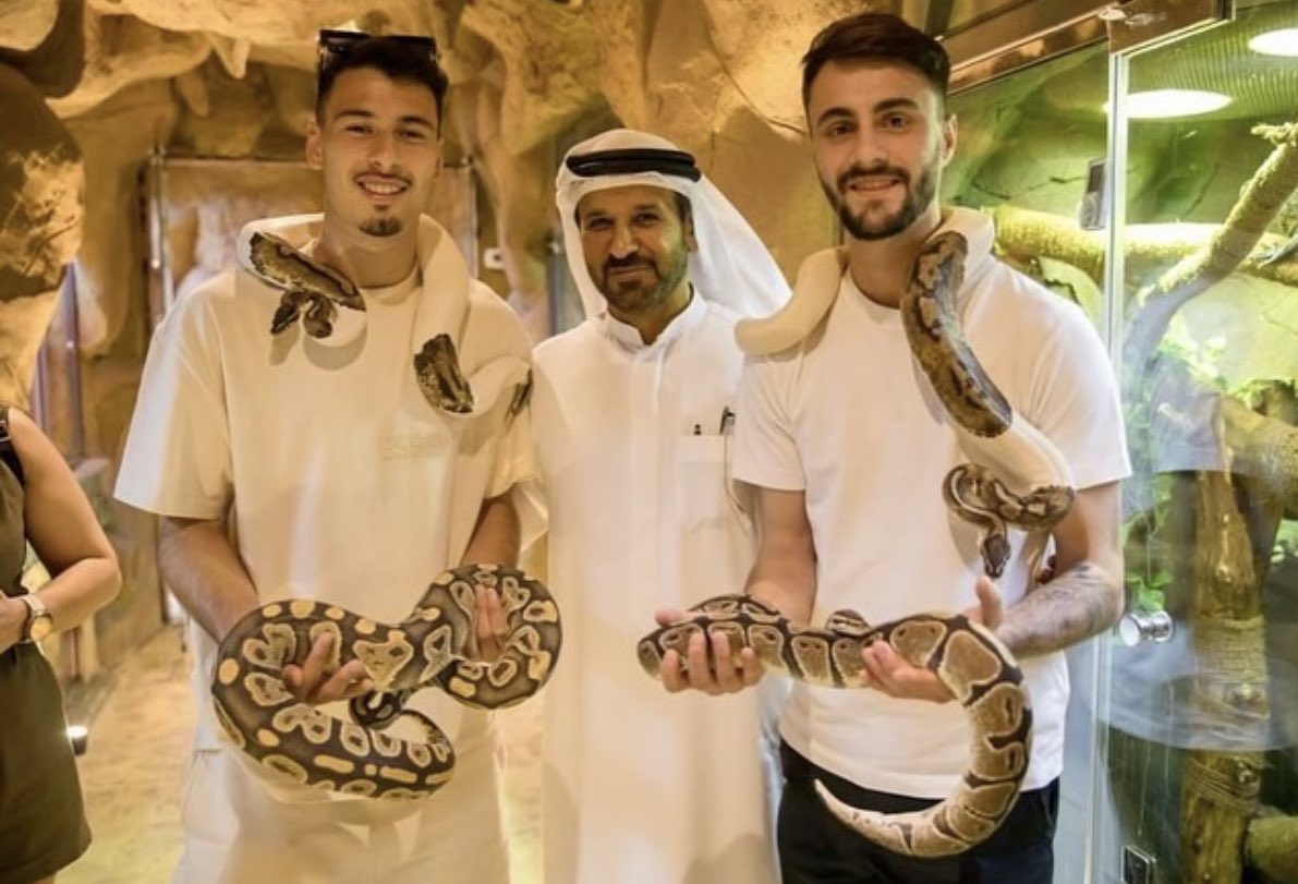 The Arsenal on X: "Gabriel Martinelli + Fabio Vieira visiting a Safari Park in Dubai ❤️⚪️🔴 #Arsenal https://t.co/UJfpLZtdou" / X