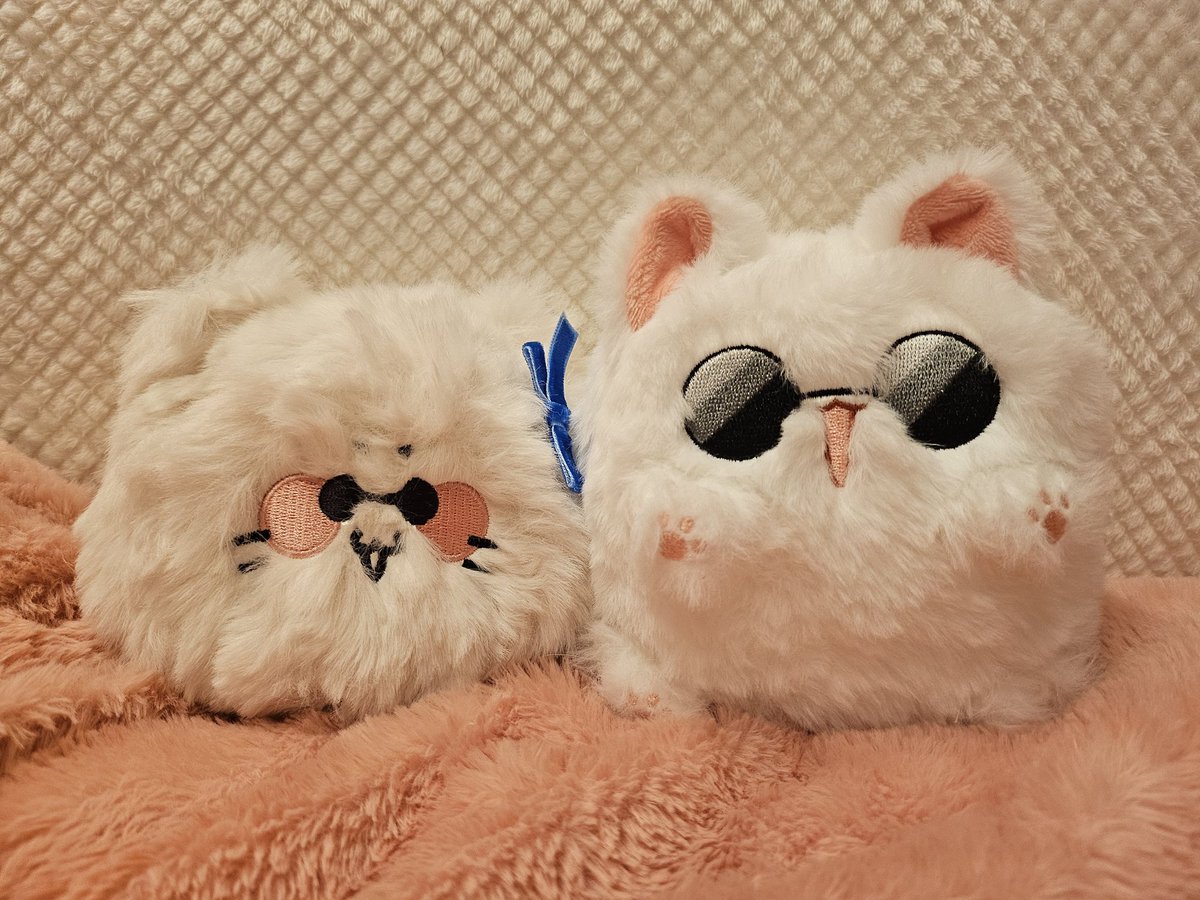 동족을 만난 고죠냥