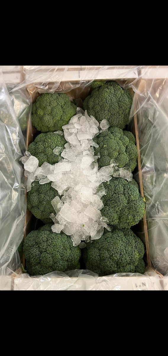 A beautiful splash of colour on this cold January morning! Fresh from the great Agropaco we have Spanish broccoli, purple cauliflower and romanescu. We look forward to hearing from you 01580 232300.