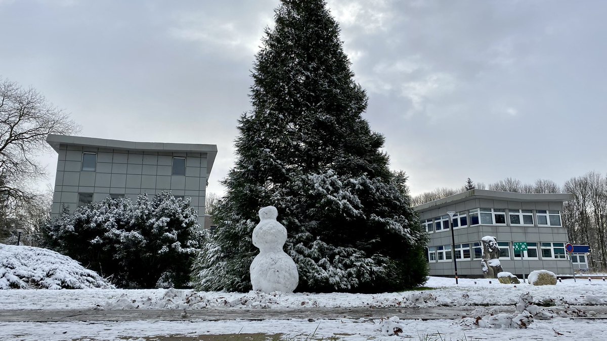 univ_lille's tweet image. ❄️ Le campus Cité scientifique sous la neige 😍  #ULille