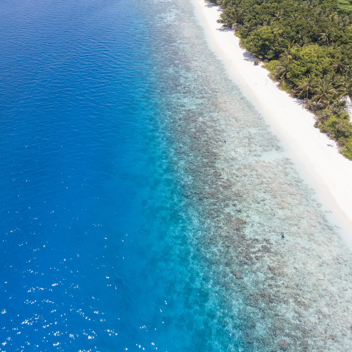 Dreaming in shades of blue, where the ocean meets the sky. 🌊✨

#MaldivesBlues #MaldivesBliss #staylocal #localtourisminmaldives #visitmaldives #islandrooms