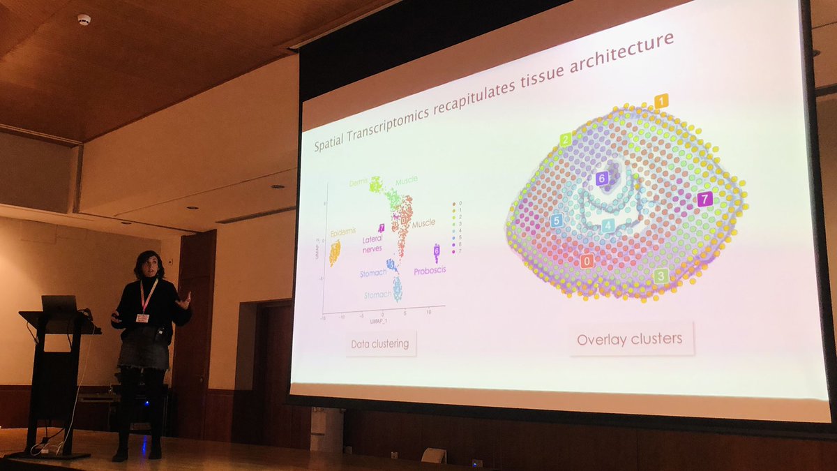 Patri Álvarez-Campos (@patrialvarezcam) on Twitter photo Amazing talk of my scientific partner in crime, <a href="/aida_verdes/">Aida Verdes</a>, presenting her super cool work on ribbon worms at #SESBE2024 Amazing talk of my scientific partner in crime, <a href="/aida_verdes/">Aida Verdes</a>, presenting her super cool work on ribbon worms at #SESBE2024