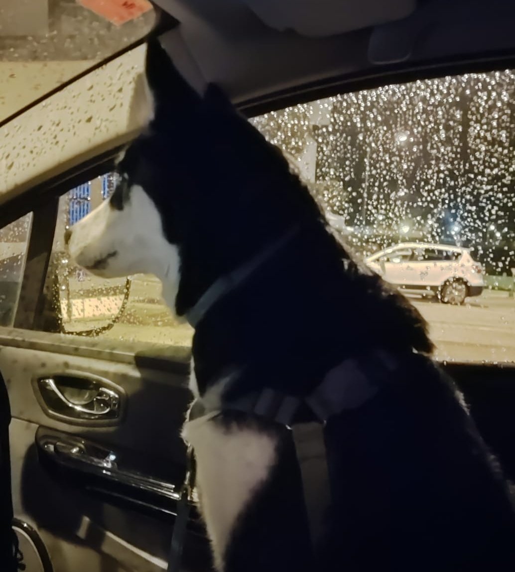 Isaranzu tweet media