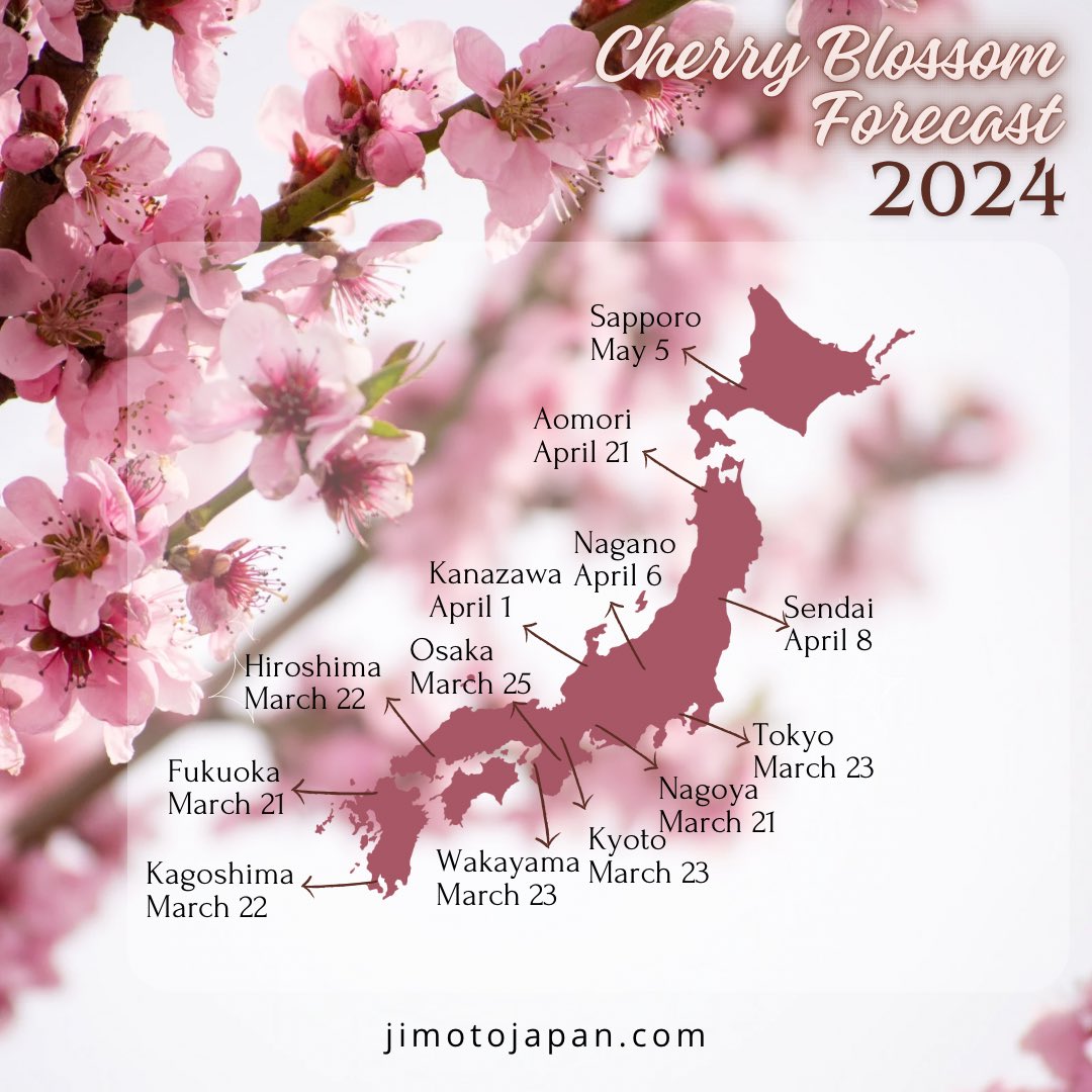 jimotojapan's tweet image. Cherry Blossom forecast 2024 is out. Time to start planning our Sakura trips.

#sakura #cherryblossom #cherryblossom2024 #japan #spring #spring2024 #travelblogger