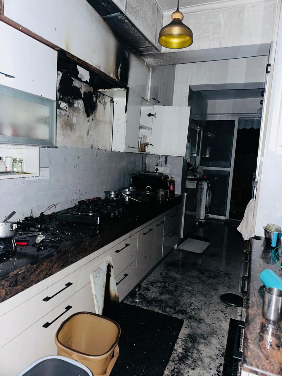 Schephalica tweet media