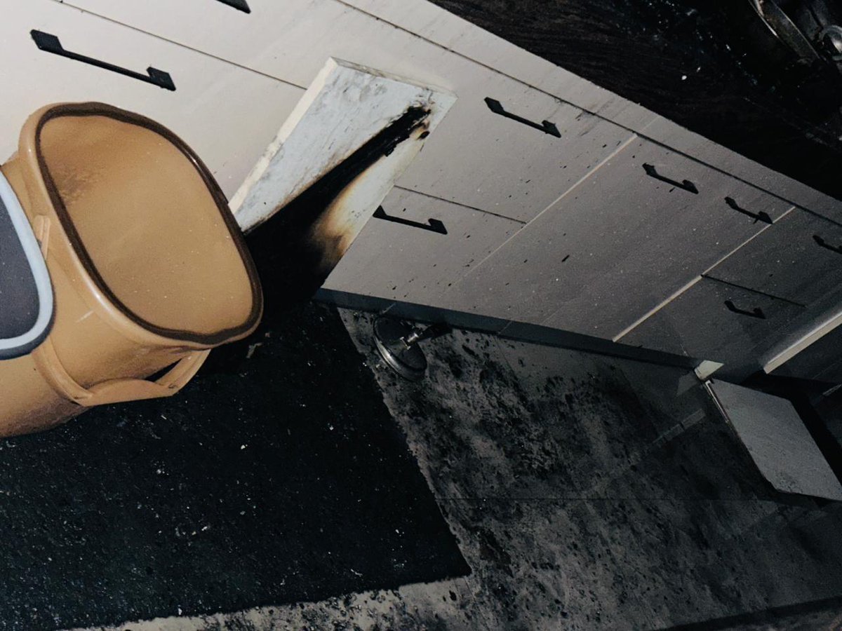 Schephalica tweet media