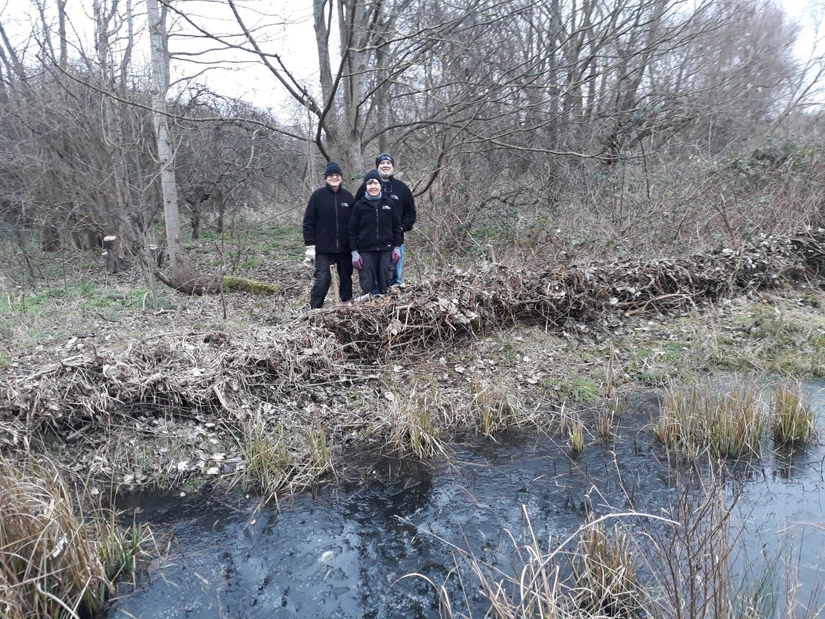 Kit Strange tweet media