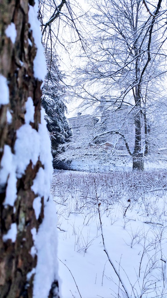 EmilieMontreal's tweet photo. 𝐋e𝐭 𝐢t s𝐧o𝐰 𝐬u𝐫 𝐥e C𝐨n𝐝r𝐨z
La Wallonie au ralenti ❄️
et la Capitale du Condroz sous un beau manteau 🇧🇪
📍 Le Parc Saint Roch de Ciney
#condroz #visitwallonia #walloniecherie #lavieestbelle ❄️ https://t.co/CGf2TcWi20