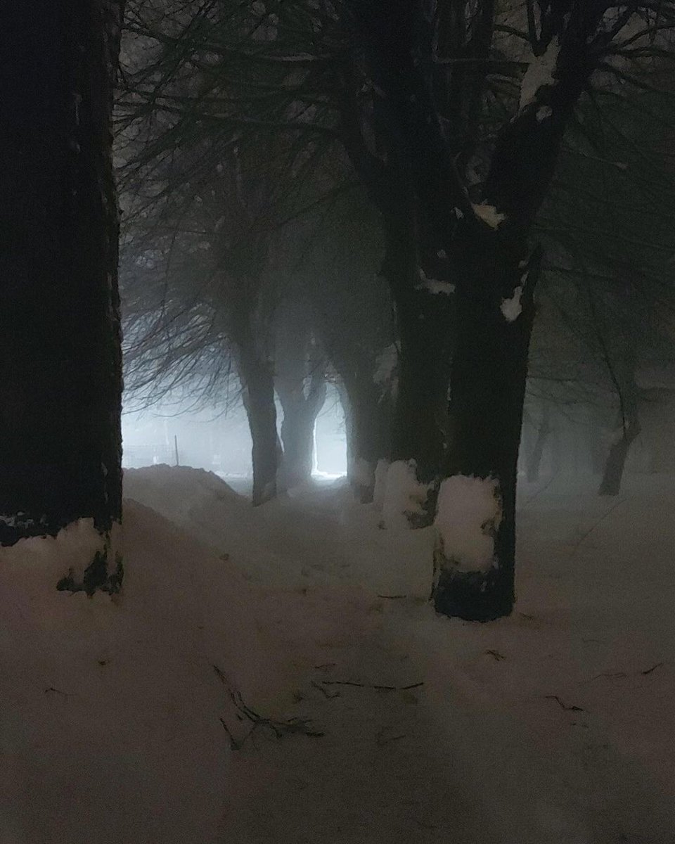 𖤐𝘼𝙚𝙨𝙩𝙝𝙚𝙩𝙞𝙘 𝘾𝙤𝙧𝙚𖤐 tweet media