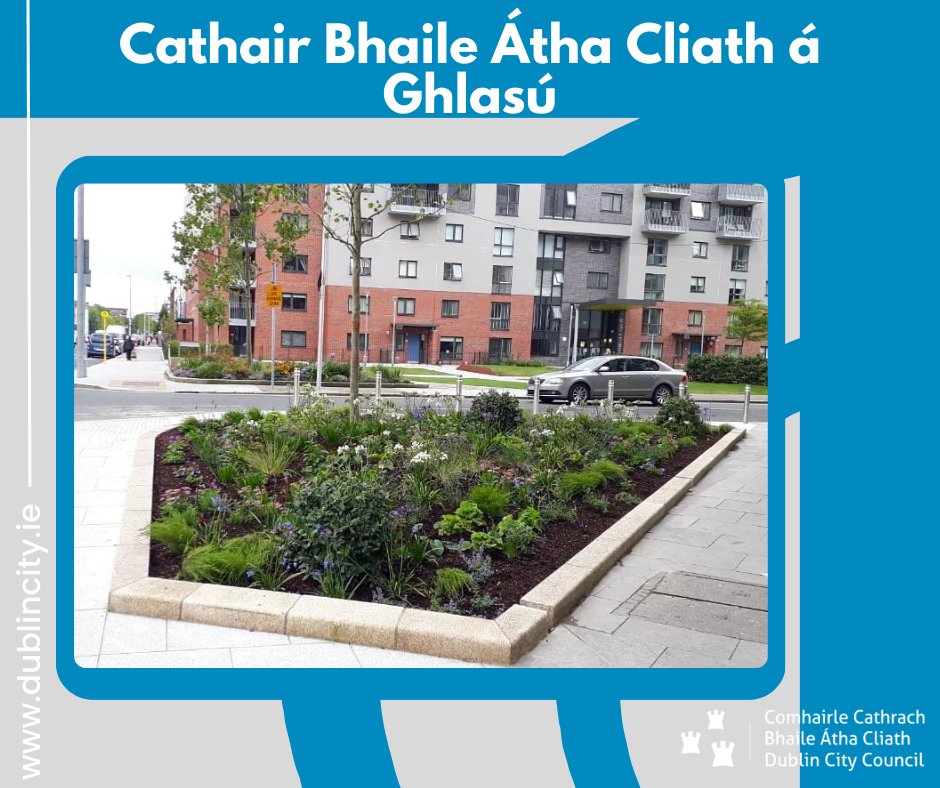 Tá Comhairle Cathrach Bhaile Átha Cliath tiomanta le spás glas agus dúlra ardchaighdeáin a sholáthair don phobail trí pháirceanna nua a fhorbairt agus spásanna glasa a fheabhsú. Tuilleadh eolais: bit.ly/3RlxLdu #GreeningDublin #Greencities #Dublin