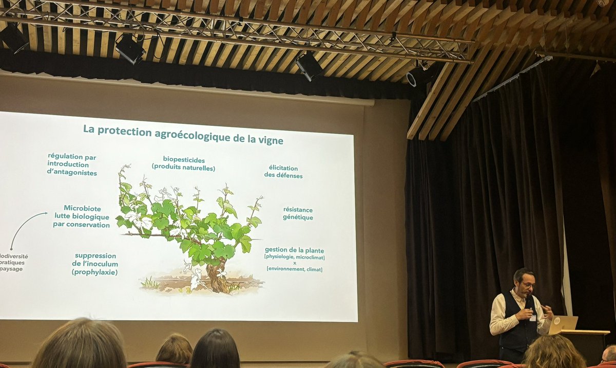 Présentation des travaux menés <a href="/inrae_save/">INRAE_SAVE</a> aux 14èmes rencontres de phytopathologie-mycologie à Aussois par Francois Delmotte <a href="/PacoDelmotte/">François Delmotte</a>