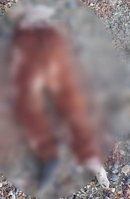 Günlerdir anlatıyorum, deprem zamanında mezarlar açılıp küçük çocukların elleri gözleri çıkartılıyordu. Sonradan bu haberi yapan kişi apar topar haberi sildi ve kaldırdı. Şimdi de Alanya sahilinde 10 yaşında bir kız çocuğunun ceseti bulundu, belden yukarısı olmayan ancak bu, uzun