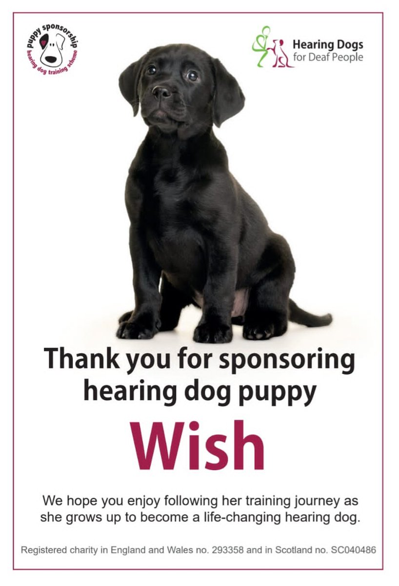 1stHardingstone's tweet image. Mercia Cubs  created delicious treats that were sold at our Carol Concert. The money raised has Sponsored beautiful Wish, a puppy for @HearingDogs who will help transform the life of a deaf person. 
#hearingdogsfordeafpeople  #deafawareness #community #fundraising #hardingstone