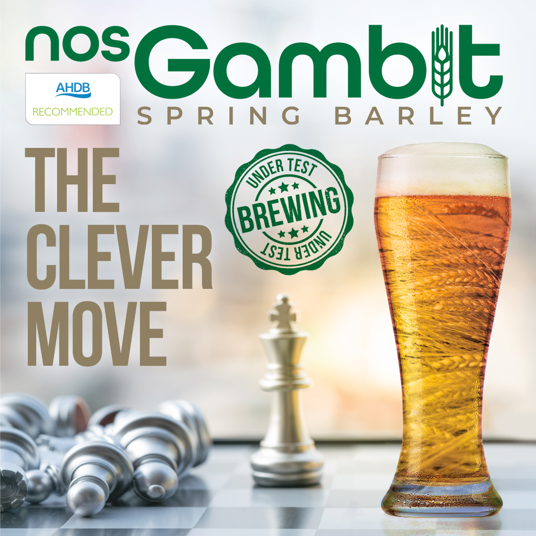 SenovaLtd's tweet image. Keep an eye out for our new varieties of spring barley
🌱Nos Gambit🌱 for brewing....

#newvarieties #springbarley #spring #brewing #nos #gambit #senova #seed #sales #farming #agriculture #agronomy #arablefarming #crops #varieties