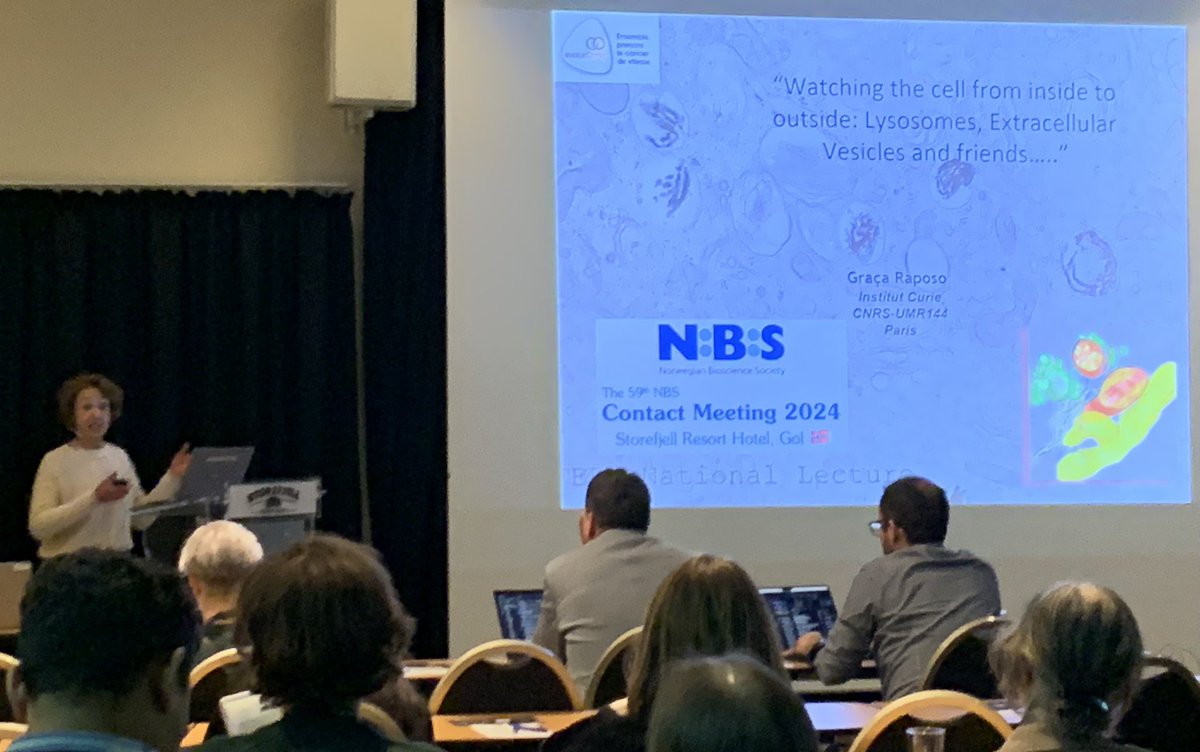 FEBS National Lecture by Graça Raposo at the NBS2024 Contact meeting! #NBS2024 @FEBSnews @CanCell_UiO @NbsOslo