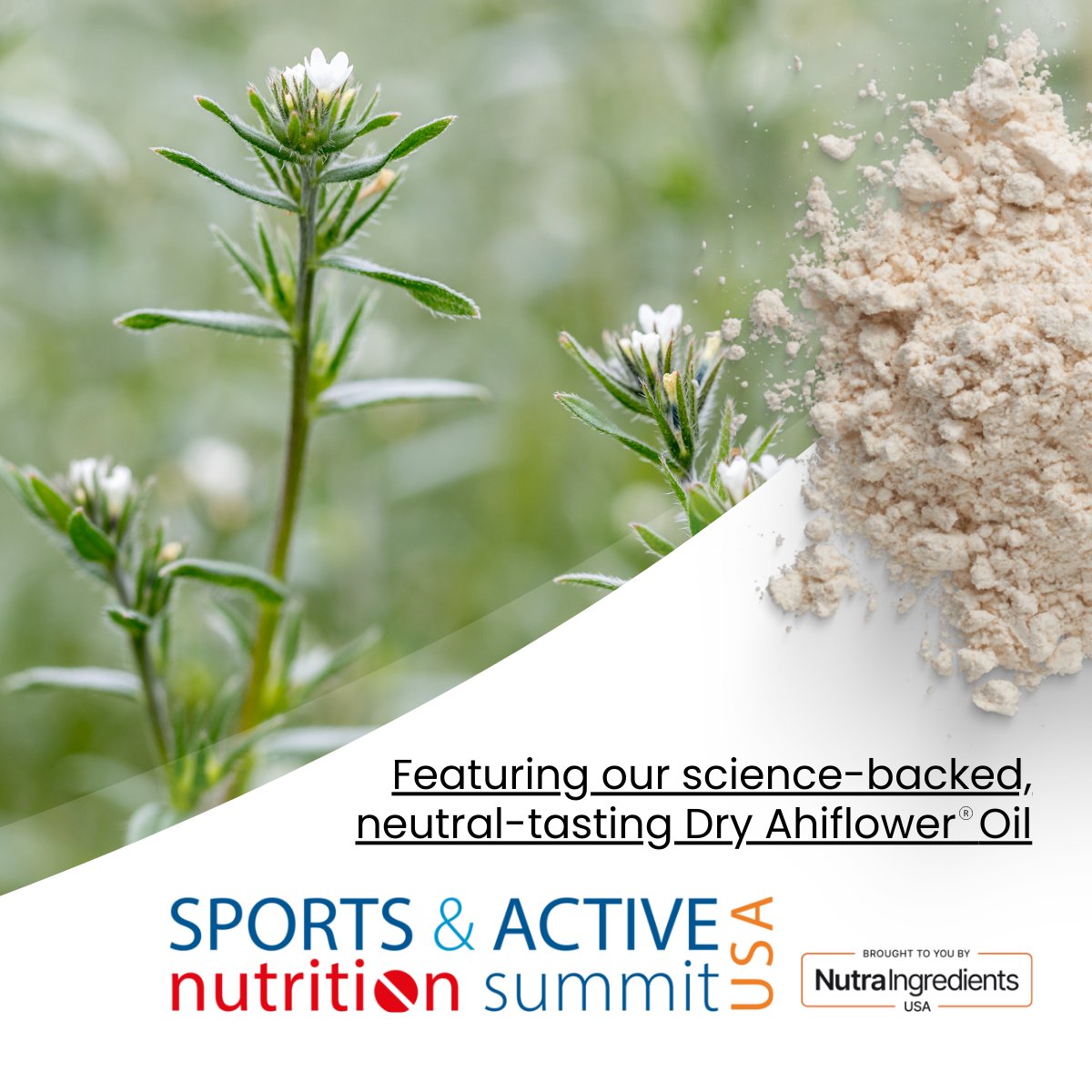CoreFX_Ing's tweet image. CoreFX is sponsoring the Sports and Active Nutrition Summit in February! Our neutral-tasting, dry Ahiflower® oil is backed by multiple studies demonstrating its effectiveness in significantly increasing circulating omega-3 EPA levels, surpassing flaxseed oil by up to four times.