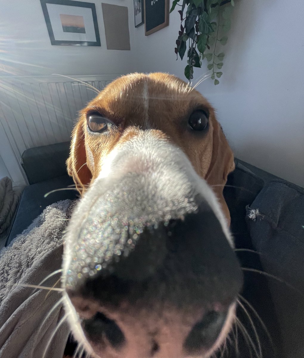 SKYZ tweet media