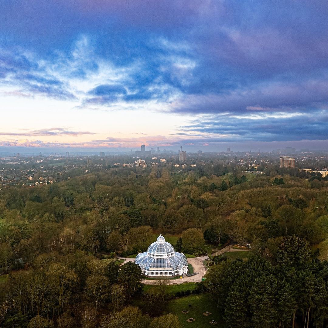 scousescene's tweet photo. Sefton Park Palm House 🌴 

📸 Mateusz Wojtczak https://t.co/Ied9Y8dTOM