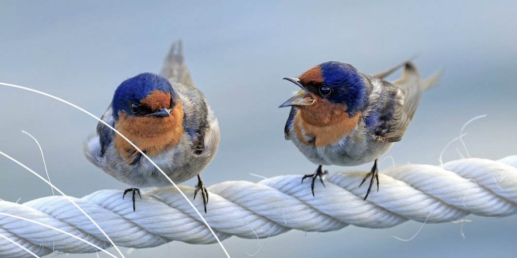 Would you like to respond more positively when a conversation gets heated?
Sign up to one of our Training Courses in 2024!
Check out all the courses at: bit.ly/PfHtraining24