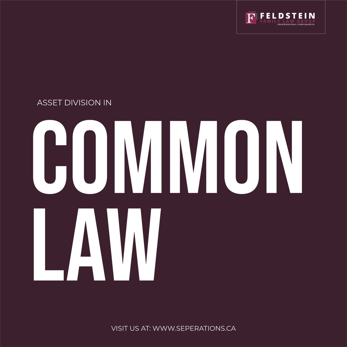When separating from a common law relationship, the process is often mistaken to be the same as a divorce. Although both scenarios follow the ending of a court-ruled relationship, there remains a slight difference between the two when dividing assets.

#feldsteinfamilylaw