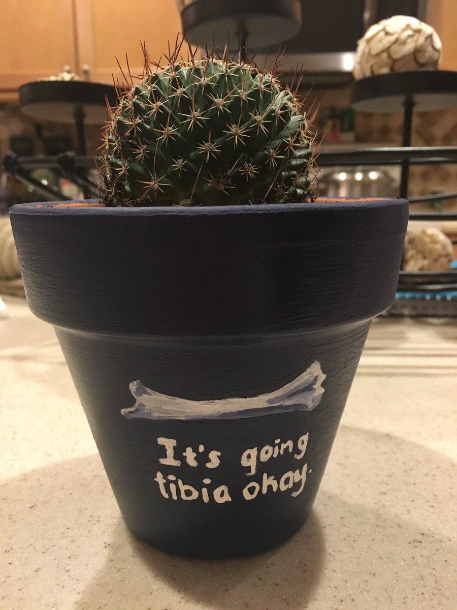 Thinking back to when I painted this pot for an orthopedic surgeon that let me shadow them in high school… now I just have a few more interviews left for residency. Feeling especially grateful for everyone who has supported me on this journey today 😌