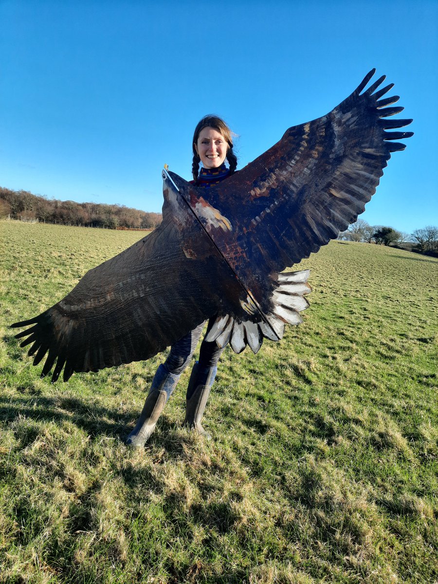 While not a real White Tailed Eagle, this is still pretty impressive! Here is @Lucy_Lapwing with a cut out model of this wonderful bird, made by our own volunteers Derek Way and John Flat. Amazing! #Winterwatch @BBCSpringwatch