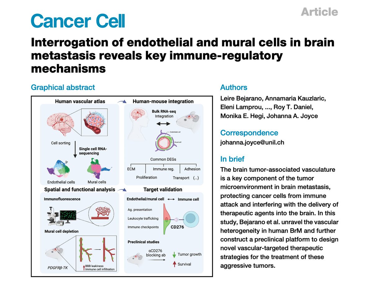 Thrilled our study on #brain #metastasis #vasculature is out @Cancer_Cell!! Integrated analyses of human & mouse tumors revealed immune-regulatory pathways in endothelial & mural cells for therapeutic blockade Led by the amazing @BejaranoLeire 🤩 cell.com/cancer-cell/fu… 1/ 🧵