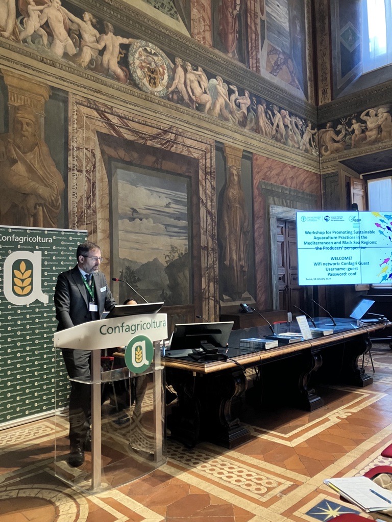 #GFCM et <a href="/feapinfo/">FEAP</a> collaborent à Rome pour promouvoir des pratiques durables en #aquaculture en Méditerranée et mer Noire. Les producteurs de 🇭🇷🇪🇸 🇪🇬 🇬🇪🇬🇷 🇮🇹 🇱🇧 🇲🇦 🇵🇹🇷🇴 ont partagé leurs perspectives lors de cet atelier.