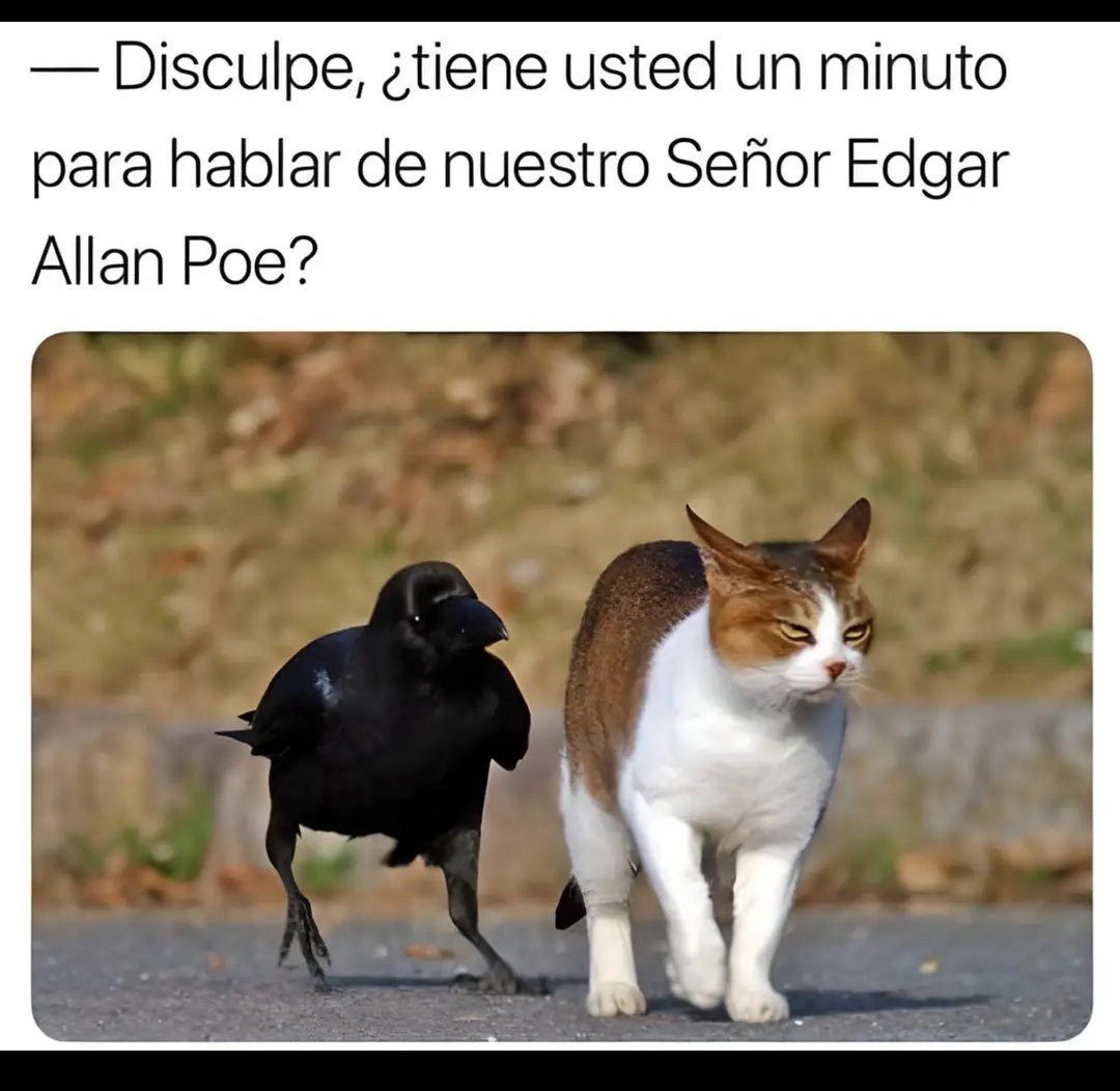 Solangel Aldana tweet media