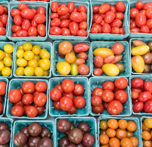 Scientists have been working to investigate how tomatoes may be imparting health benefits in a recently published study. Read more loom.ly/kku7gz0