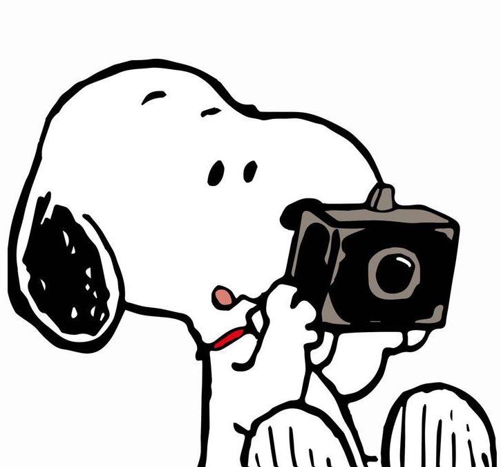 pao tweet media