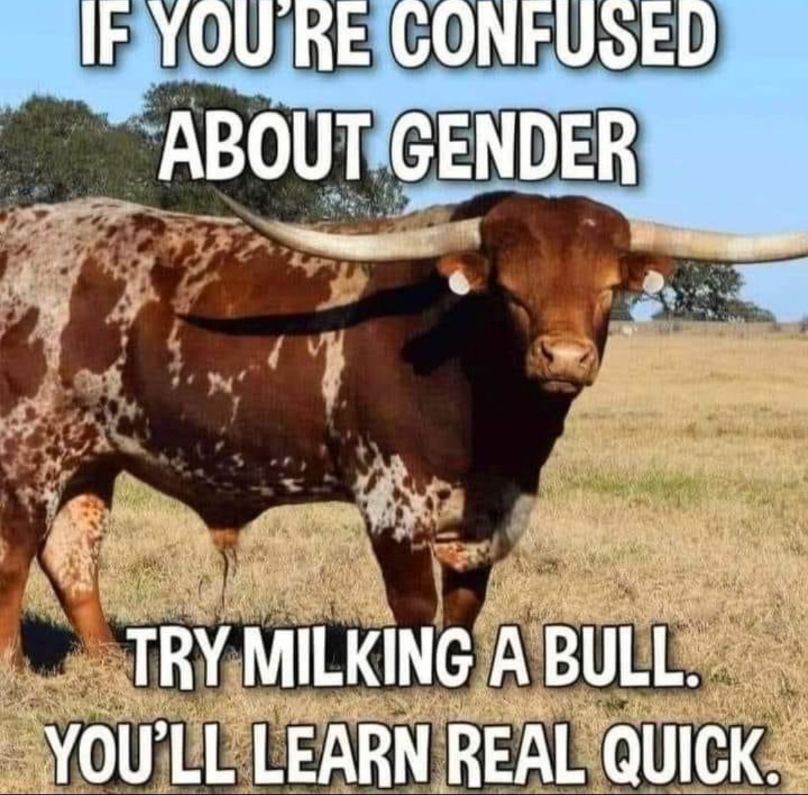 Punchy_Playz's tweet image. 🇺🇸 Calling all MAGA GOD Fearing Patriots 🇺🇸

🇺🇸Trump Train🇺🇸

🇺🇸✝️Gods Children Are Not ForSale🇺🇸✝️

🇺🇸👇 Drop your handle in the comments 👇🇺🇸

🇺🇸💪Grow These  Accounts UNITED We Are Strong 💪🇺🇸

🇺🇸 I will Follow back ALL🇺🇸

🇺🇸Make Sure Too Follow Me So I Can Follow You Back🇺🇸…