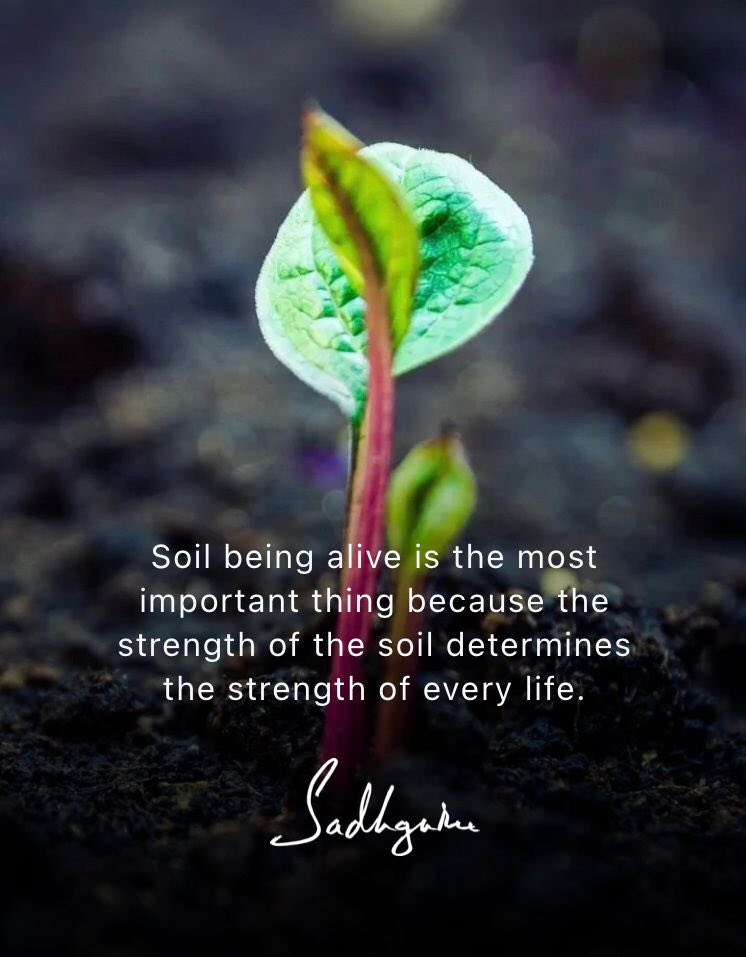 It's time to #SaveSoil! #healthysoils rich in organic matter are the only way to sustain life on this planet! 🌏🌿
Action now: savesoil.org
#ConsciousPlanet