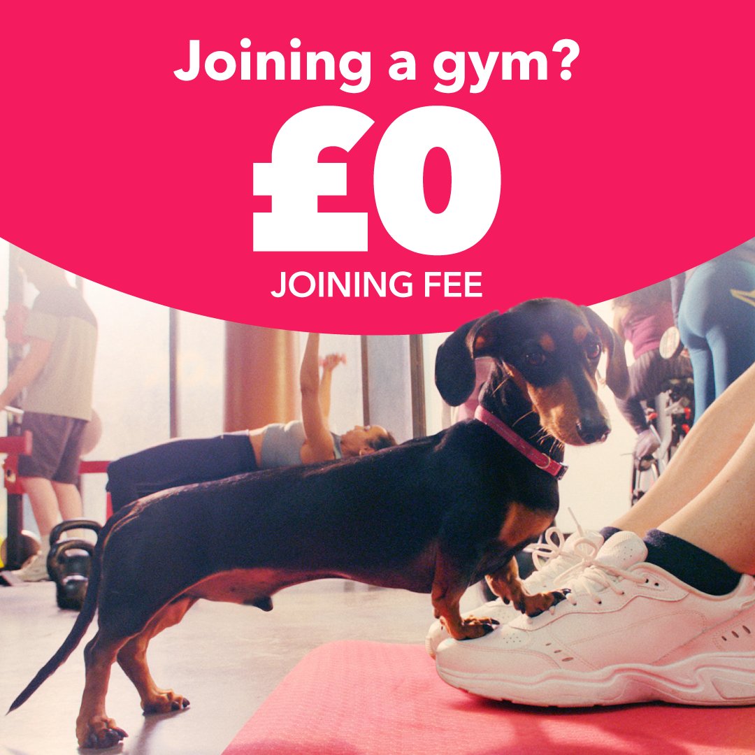 Ready to get moving? 💪🏋️‍♀️ Vitality members can get up to 50% off a monthly gym membership. Choose from Virgin Active, PureGym or Nuffield Health, plus, pay no joining fee from 1 January to 29 February 2024! Get your discount now 👉 members.vitality.co.uk T&Cs apply.