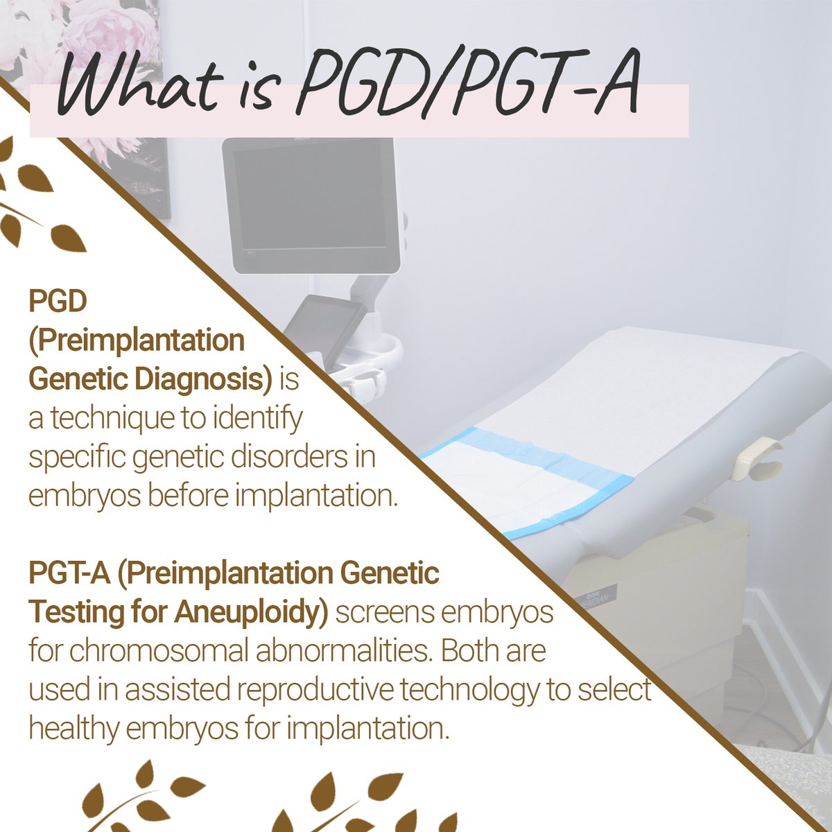 Preimplantation Genetic Diagnosis (PGD) and Preimplantation Genetic Testing for Aneuploidies (PGT-A) are revolutionizing the realm of genetic testing in IVF, offering new hope and possibilities.

#FertilityStories #ChinBaby #DrChin #Fertility #FertilityAndWellness #Ohio