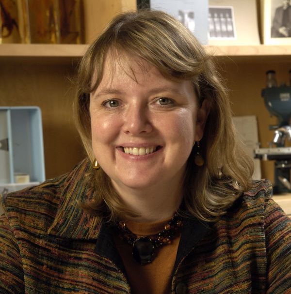 Congratulations to Kay Macleod, PhD (@LabMacleod) on her new appointment as the Associate Director for Basic Sciences for the @UCCancerCenter 🎉🎉🎉 @UChicagoCCB @UChicagoImmuno @UChicagoBSD