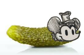 TatertotCat's tweet photo. smickle with the smickle pickle https://t.co/DiE0pHJCeW