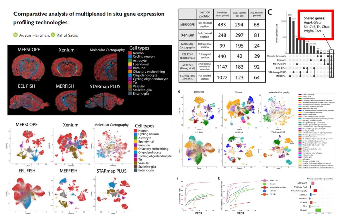 HaoYin20's tweet image. Benchmarking 6 Imaging-based #SpatialTranscriptomics methods

#MolecularCartography
#Xenium
#MERSCOPE
#MERFISH
#EELFISH
#STARmapPLUS
🐭🧠

Mutually exclusive co-expression rate/MECR

Who wins👑?

#CosMx Not even in short list😔

@satijalab bioRxiv 2024
biorxiv.org/content/10.110…