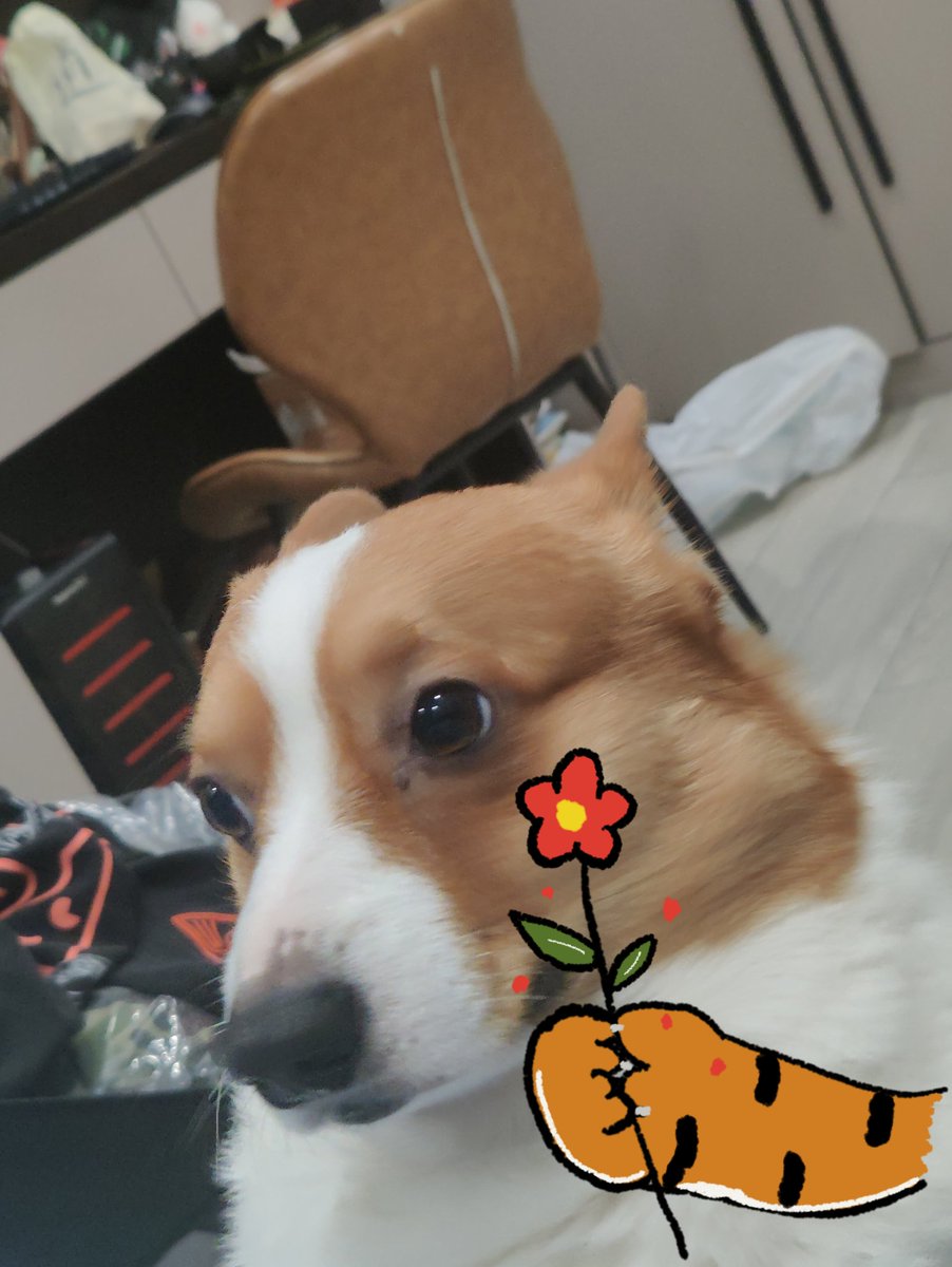 junxiao520's tweet photo. 🥰 https://t.co/Rutw1MIXlC