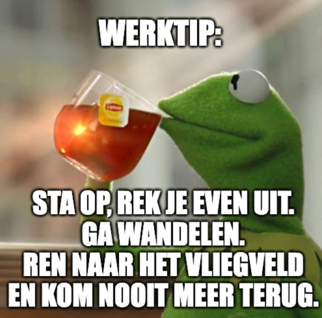Vlekkenloos's tweet photo. Vandaag.... https://t.co/U5V0OENIjm