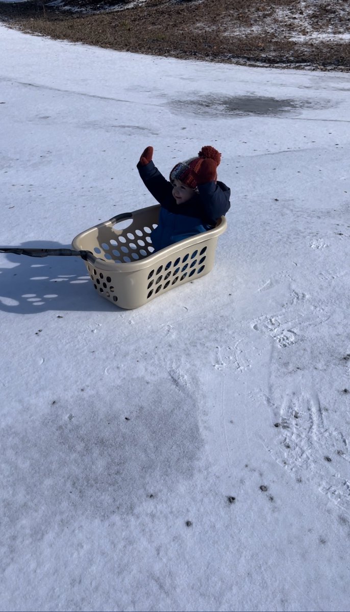 CarlieMadison13's tweet photo. Ice day fun in Cullman! He’s two and has never really had the opportunity to go out in snow, so he’s happy with the ice ❄️❤️

@spann https://t.co/n4sQnEEOwc