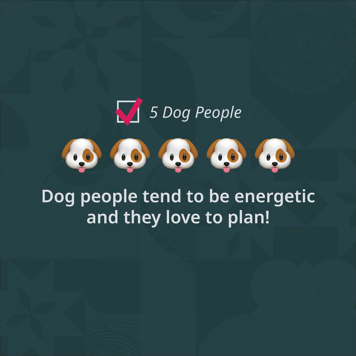 Design de Plume tweet media