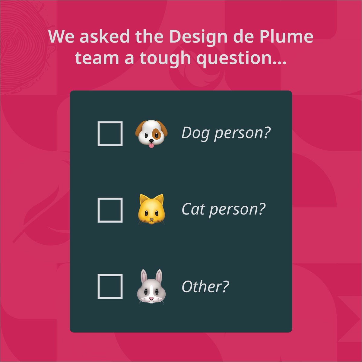 Design de Plume tweet media