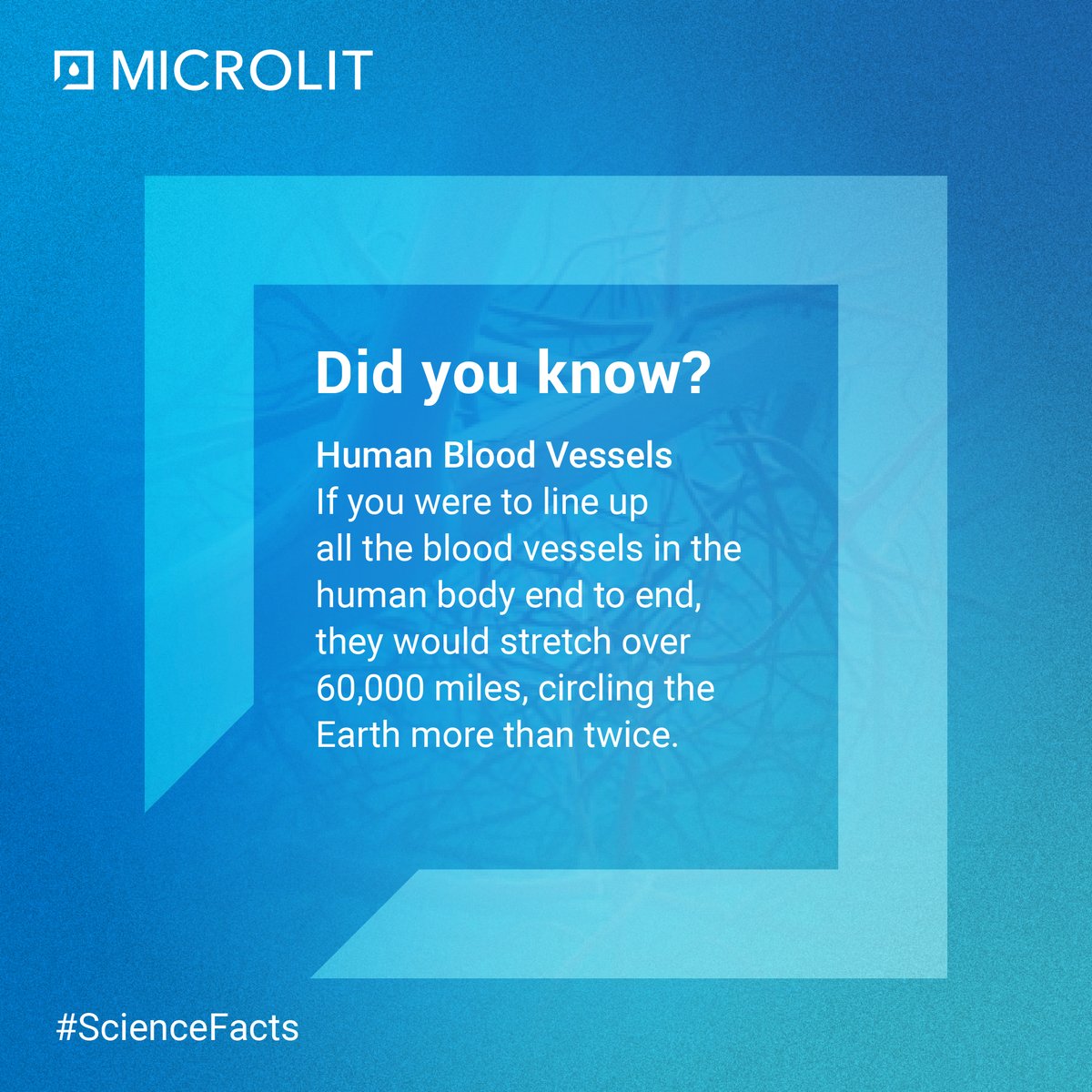 Get ready to stretch your imagination! 🧠💭

The blood vessels in your body, if laid end to end, would form a remarkable journey—over 60,000 miles, circling the Earth twice!

Nature's incredible design at its finest. 🌍🩸

#ScienceFacts #Microlit #EnablingInnovations